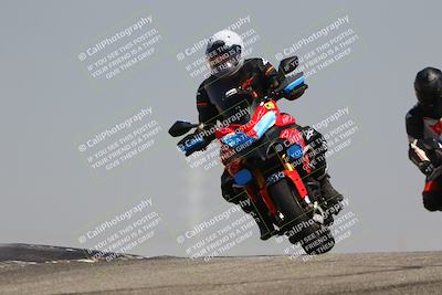 media/Aug-03-2025-TrackDaz (Sun) [[bf4a71acf9]]/C Group/1140am (Grapevine)/